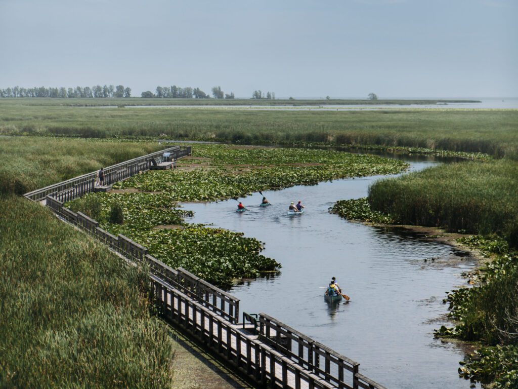 Point Pelee National Park  Marshland Boarwalk