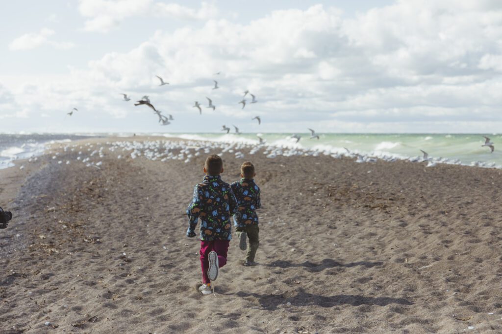 Two children chasing seagulls on the beach headed towards the tip of Point Pelee National Park.