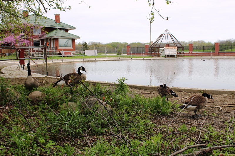 Jack Miner Bird Sanctuary