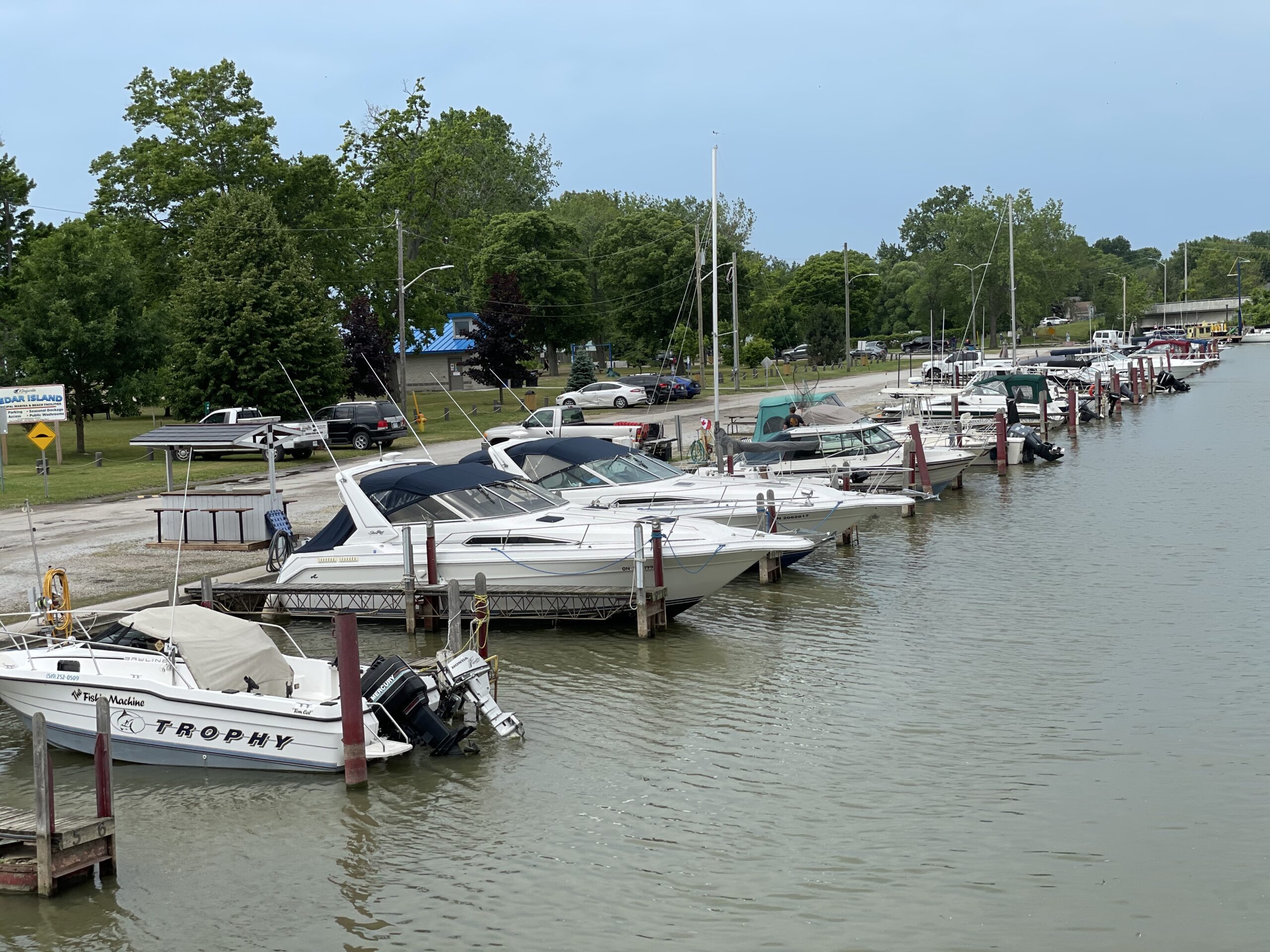 Cedar Island Marina