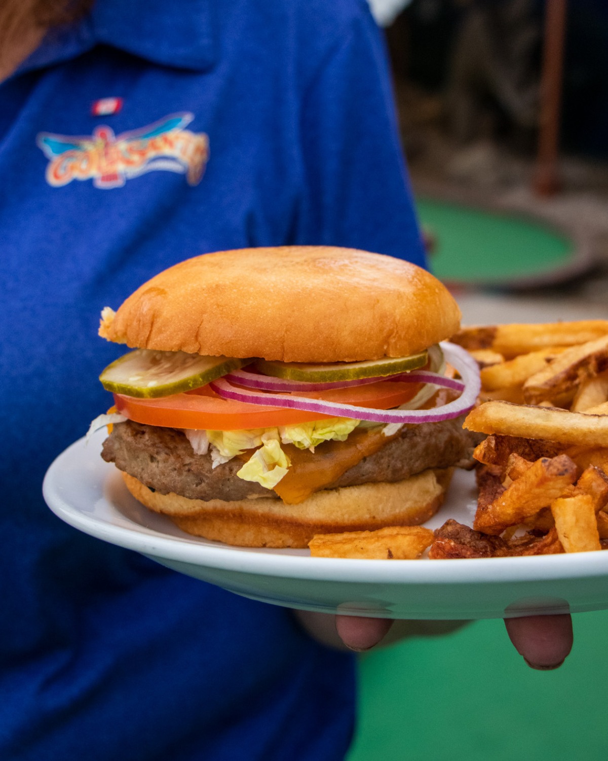 colsanti's tropical garden hamburger and fries